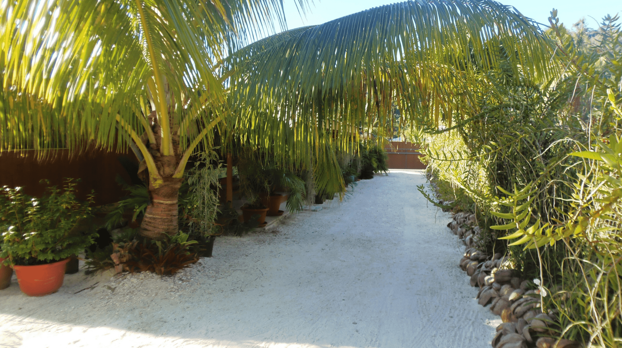 Fare Ara Huahine allée centrale